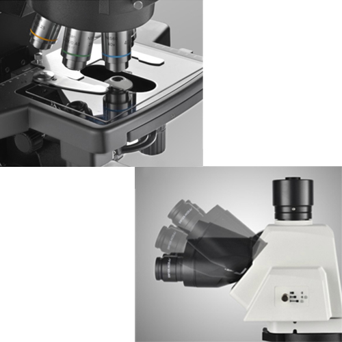 显微镜的使用-日常保养（物镜与目镜/聚光镜）