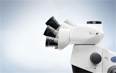 体视显微镜广泛应用于以下领→域