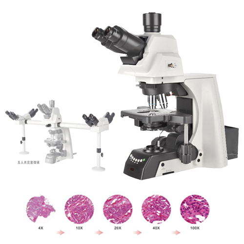 光学显微镜和生物显微�y镜有什么区别――广州明慧