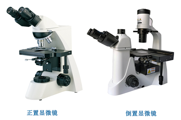 倒置显微镜的使用|倒置显微镜与正置显微镜的区别――广州明慧