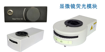 荧�K光显微镜常用的激发光源的种类――广州明慧