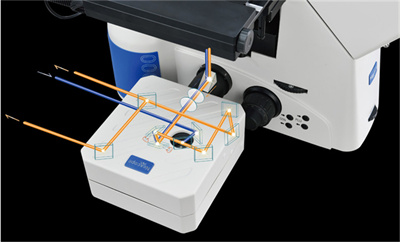 激光共聚焦显�微镜和荧光显微镜的区别――广州明慧