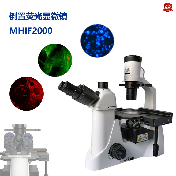 倒置荧光■显微镜的用途