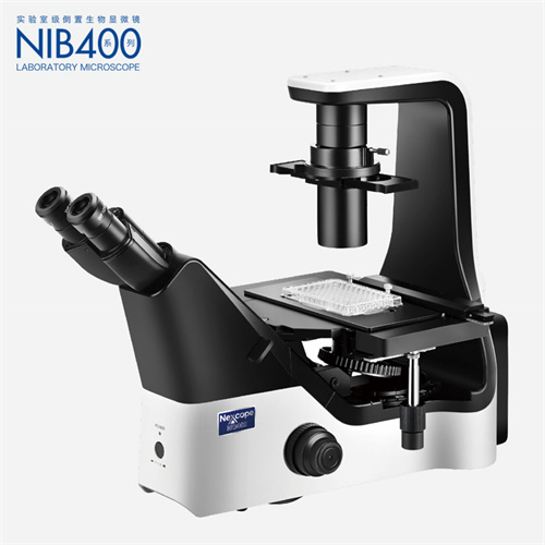 倒置生物①显微镜 NIB400