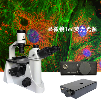 荧①光显微镜有哪些激发光源