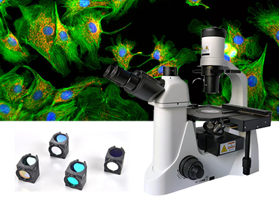 荧光显微镜的使用|荧光显微镜双色滤光片怎》么选择