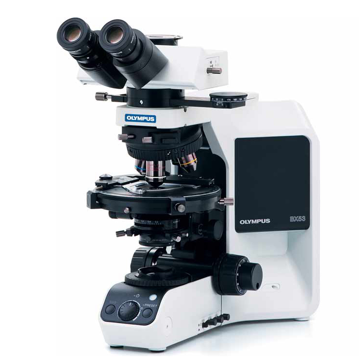 奥林巴斯生物显微镜BX53