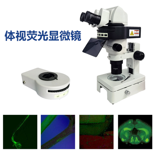体视显微镜�钣�光光源 海南体视显�微镜调试