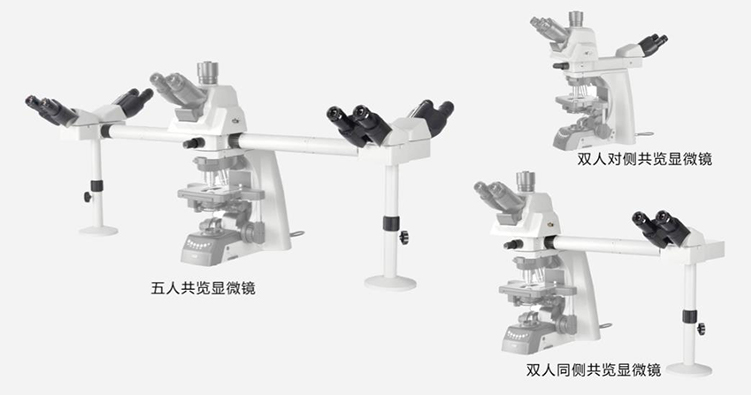 多人共览显微镜优�势-耐可视-广州显微镜
