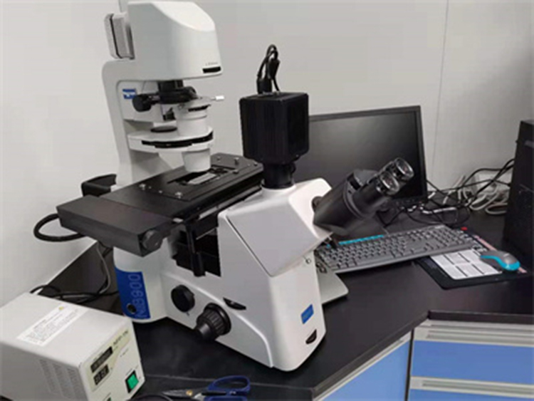 荧光成像显微镜原理-荧光显微镜成像分「析系统应用