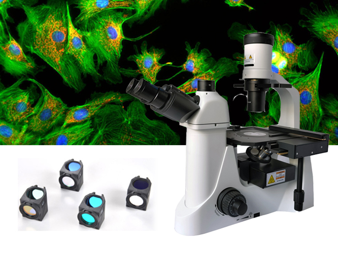 荧光显微镜的介绍――荧光显微镜的明暗场成像原理和滤∑色片选用