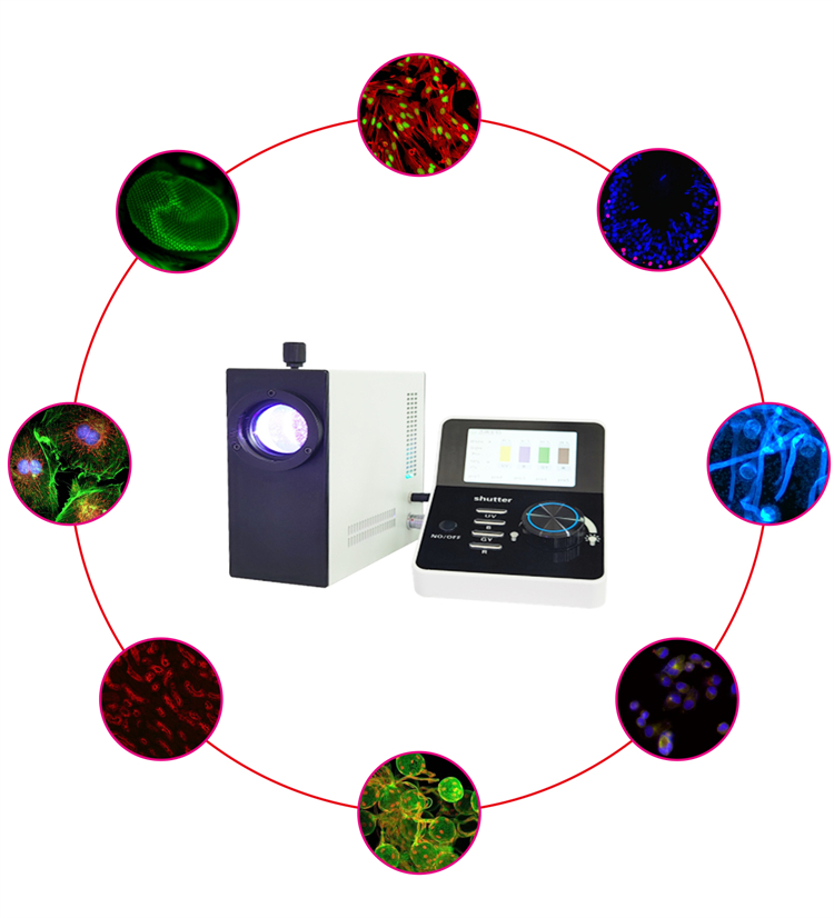 为♂什么有些荧光显微镜推荐使用大功率多光谱LED荧光光源？