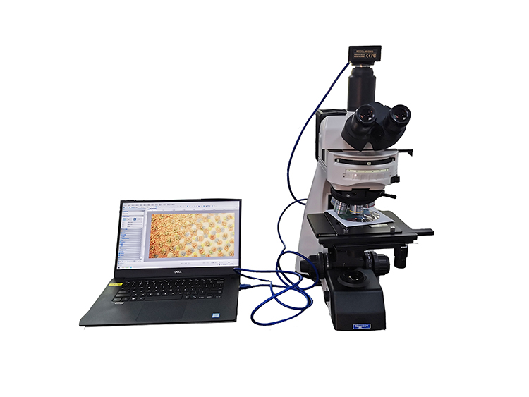 供应光学〗数码显微镜 数码显微镜的应用案例