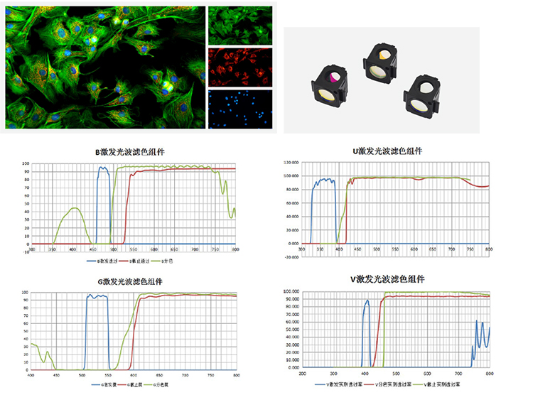 Nexcope(耐可视)倒置荧光显微镜-广州省荧光显微镜代理