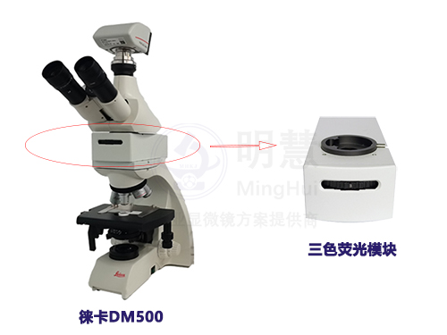 奥林巴斯尼康徕卡显微镜升级荧光模块