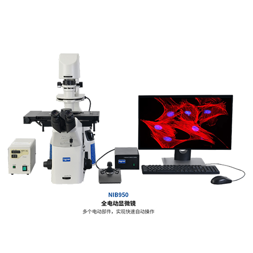 全电动显微镜NIB950