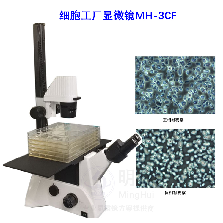 细胞工厂显微□　镜 应用领域―广州市明慧科�L技有限公司