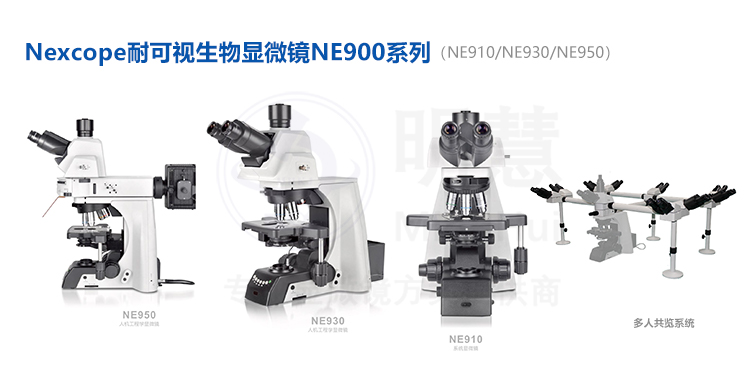 Nexcope耐可视正置生物显微镜成像系√统用途