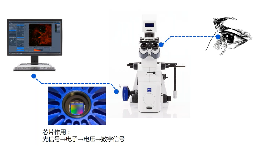 用于科学研究的显微∏镜数码相机