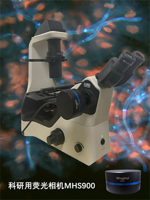 广州明慧|显微镜相机的安ㄨ装、应用及使用方法