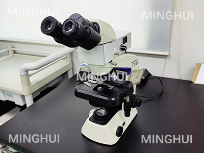 显微镜荧光模块应用于真菌№检测案例-广州明慧