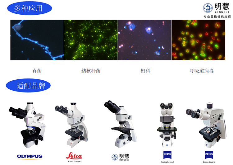 广州明慧实验室荧光模块――显微镜LED荧光附件