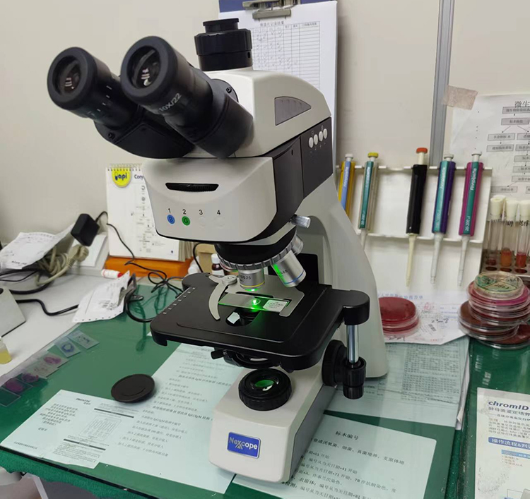 NE610荧光显微镜应用于医院荧光检测√