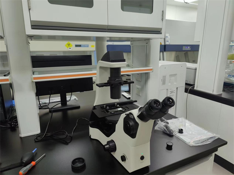 NIB610倒置显微镜应用】于细胞培养观察