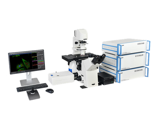 激光共聚焦荧光显微镜 活体荧光物质检查