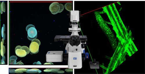 NCF950激光共聚焦→显微镜主要应用方向